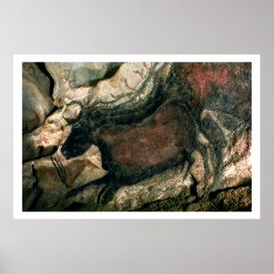 Poster Peinture rocheuse d'un taureau noir, c.17000 av. J