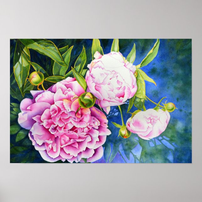 Poster Peinture rose blanc | romantique floral (Devant)