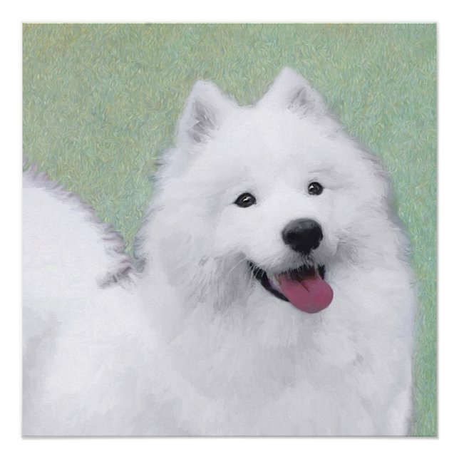 Poster Peinture Samoyed - Cute Original Chien Art (Devant)