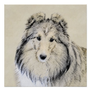 Poster Peinture Shetland Sheepdog - Jolie art original ch