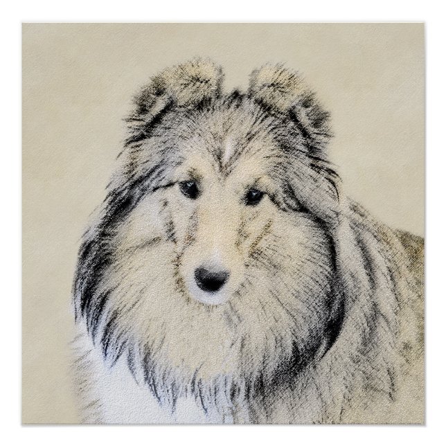 Poster Peinture Shetland Sheepdog - Jolie art original ch (Devant)