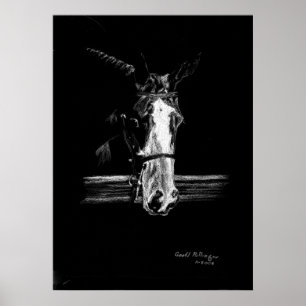 Poster Peinture Sur Portrait Black Horse
