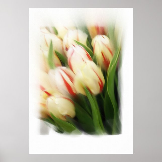 Poster Peinture "Tulipes" sur toile (Devant)