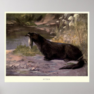 Poster Peinture vintage à la loutre (1909)