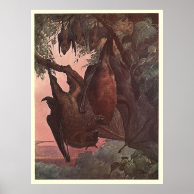 Poster Peinture vintage de chaume (1909) (Devant)
