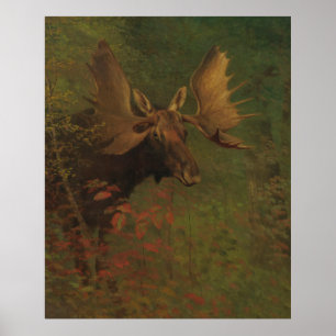 Poster Peinture vintage d'une orignal