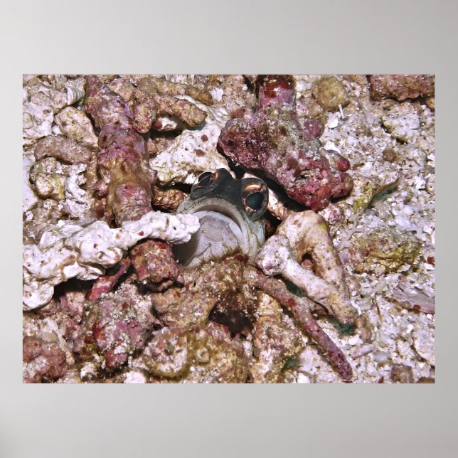 Poster Pékin (Devant)