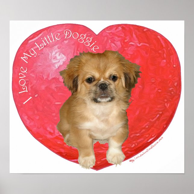 Poster Pekingese / Shih Tzu Saint-Valentin (Devant)