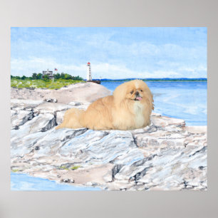 Poster Pékinois au phare