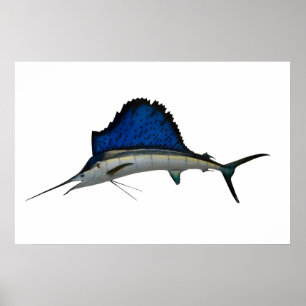 Poster Pélerin