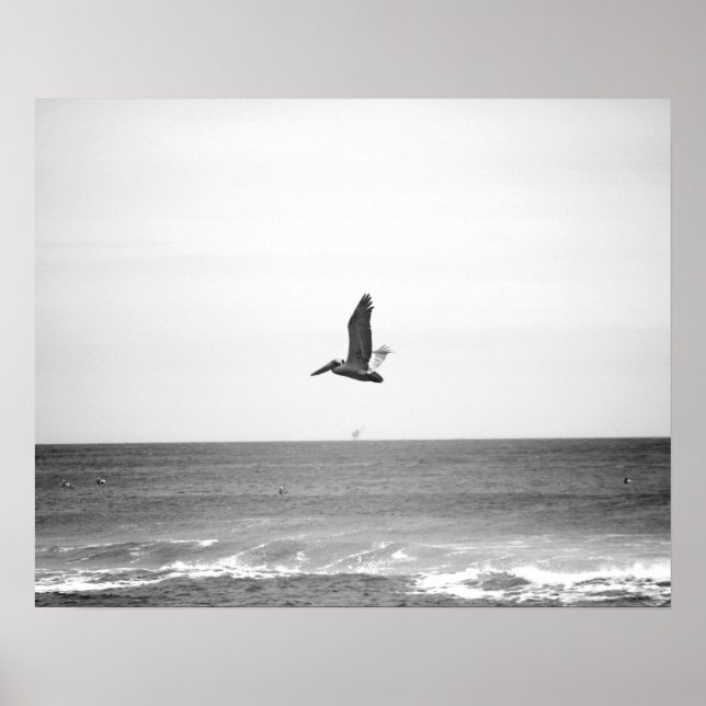 Poster Pélican Brown noir et blanc survolant l'océan (Devant)