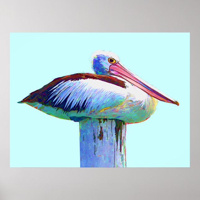 Poster Pélican de couleur tropicale (Devant)