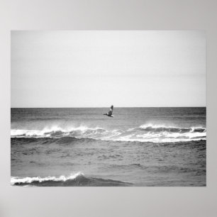 Poster Pélican noir et blanc survolant l'océan 16x20