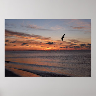 Poster Pélican volant au lever du soleil, Dauphin Island,