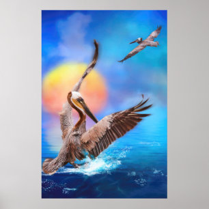 Poster Pélicans Brown SOLEIL ISLAND KISSEE