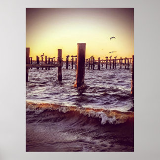 Poster Pélicans dans la baie