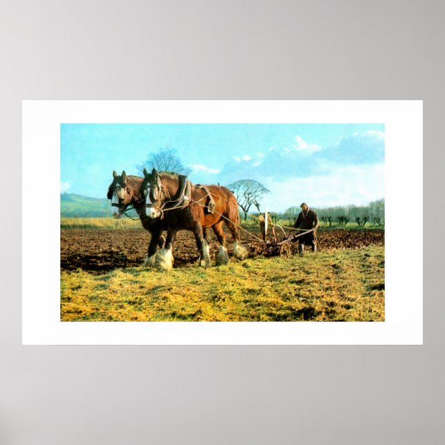 Poster Pellage (Devant)