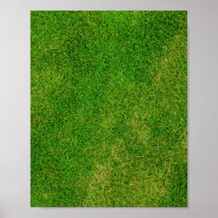 Poster Pelouse