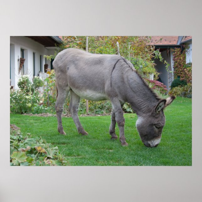 Poster Pelouse Biologique Sur Quatre Trous (Devant)