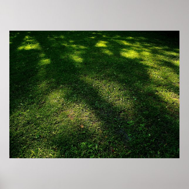 Poster Pelouse dorée (Devant)