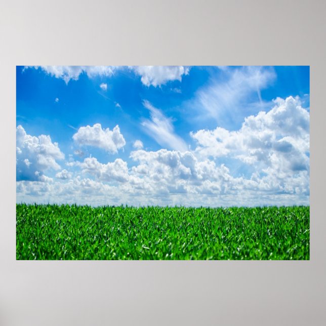 Poster Pelouse verte et ciel bleu (Devant)