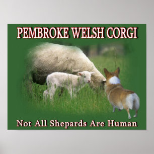 POSTER PEMBROKE WELSH CORGI