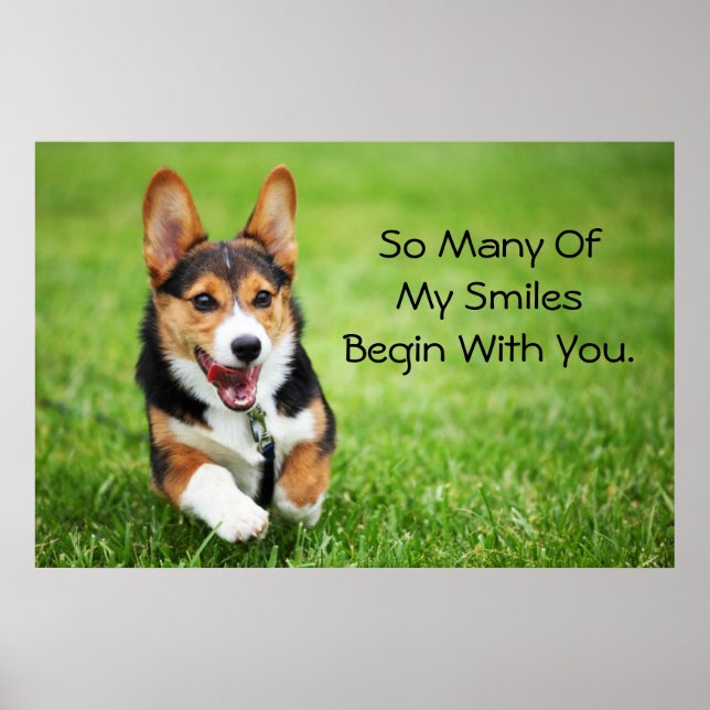 Poster Pembroke Welsh Corgi Puppy Joyeux Et Énergétique (Devant)