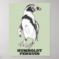 Penguin de Humboldt