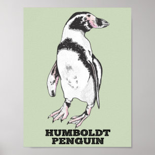 Poster Penguin de Humboldt