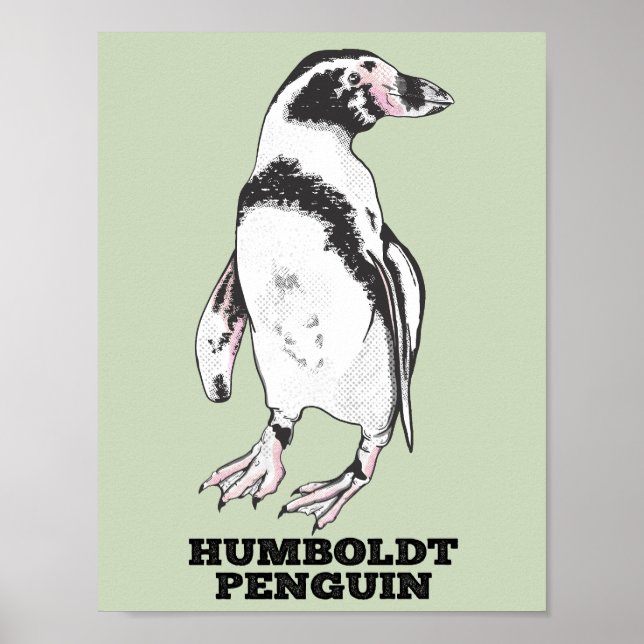 Poster Penguin de Humboldt (Devant)