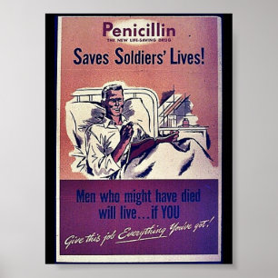 Poster Pénicilline
