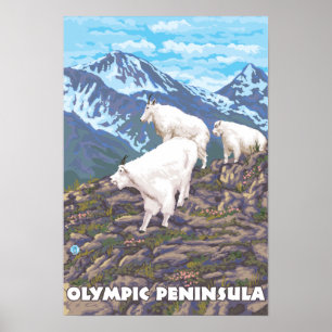 Poster Péninsule olympique, chèvres de WashingtonMountain