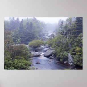 Poster Pennant Brook In the Fog fine art print