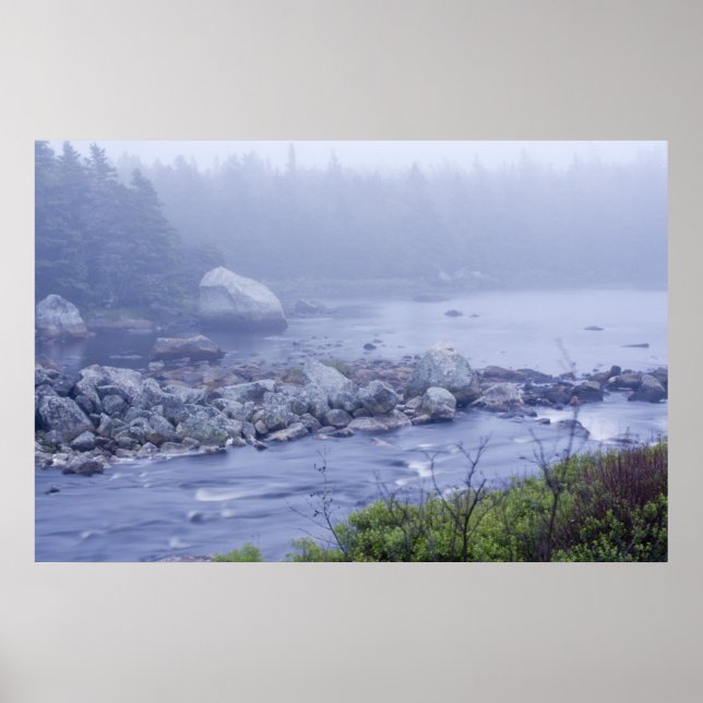 Poster Pennant Fog (Devant)