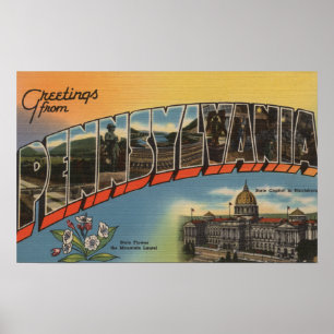 Poster Pennsylvanie (Capitale nationale/Fleur) 2