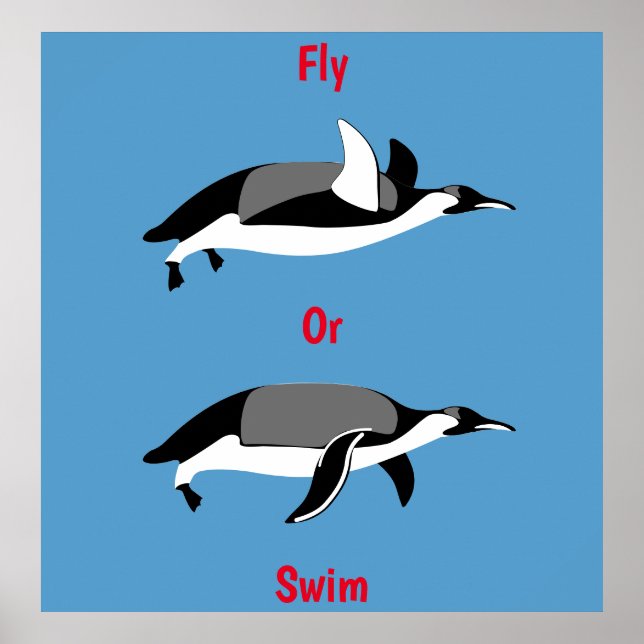 Poster Penquin Fly ou Swim (Devant)