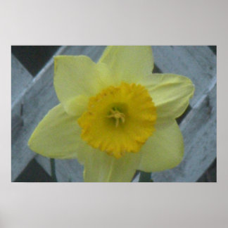 Poster Pensez au printemps !