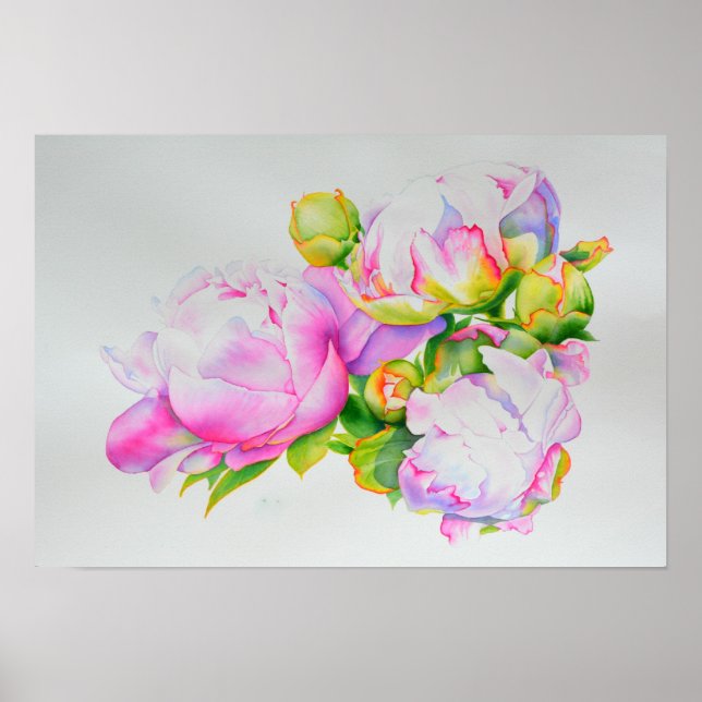 Poster Peonis, rose, blanc, aquarelle florale (Devant)