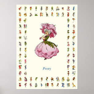 Poster Peony