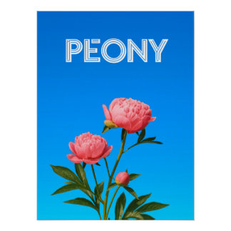 Poster Peony