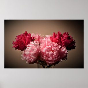 Poster Peony,