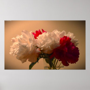 Poster Peony,
