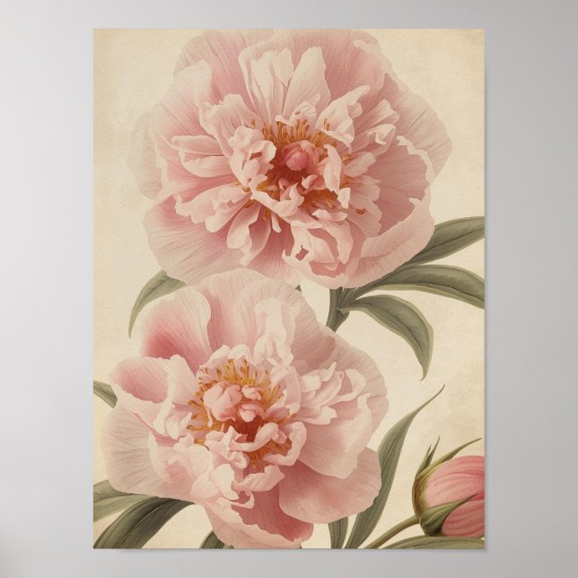 Poster Peony Watercolor Elegance (Devant)