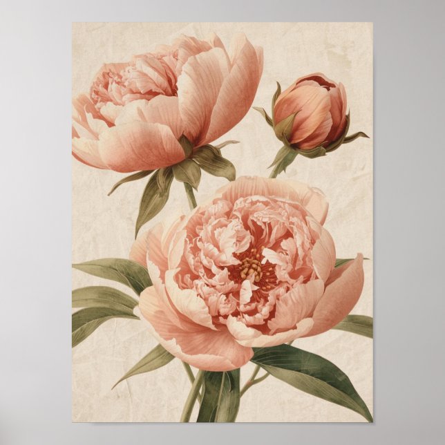 Poster Peony Watercolor Elegance (Devant)
