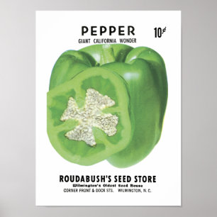 Poster Pepper Vintage Seed Packet