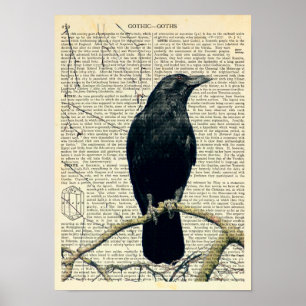 Poster Perched Raven, Crow, Edgar Allan Poe, Gothic