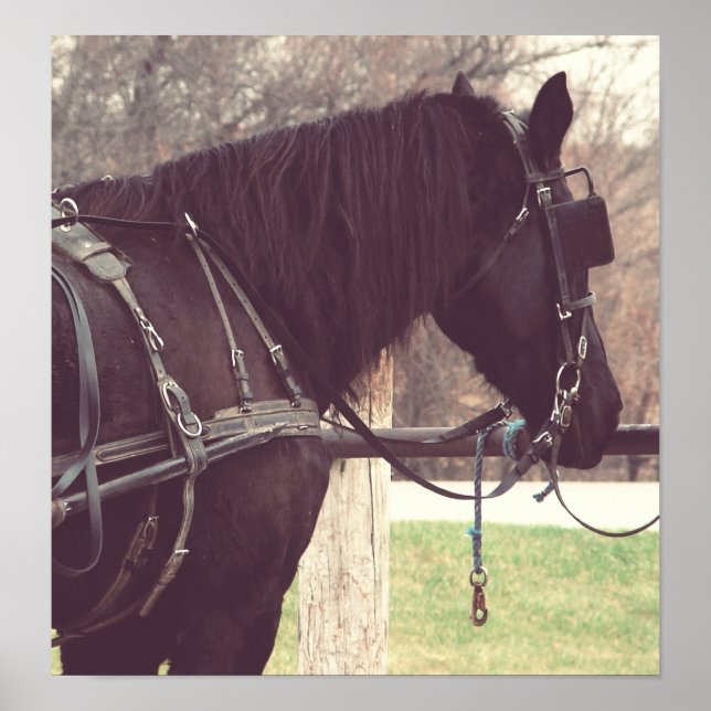 Poster Percheron, Faux Vintage (Devant)