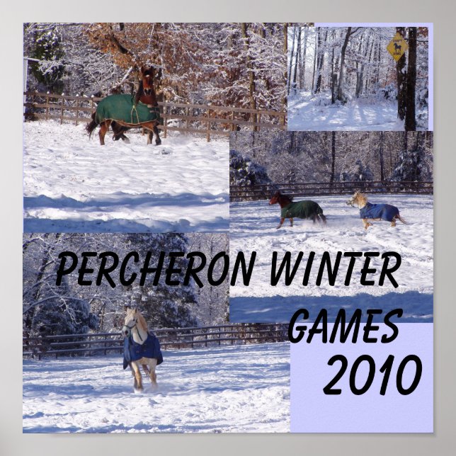 POSTER PERCHERON HITER GAMES, 2013 (Devant)