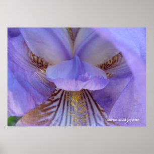 Poster Perdu dans un rêve