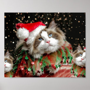 Poster Père Noël Cat
